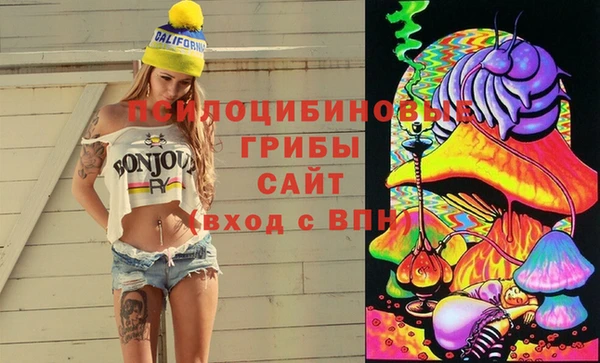 стафф Богородск