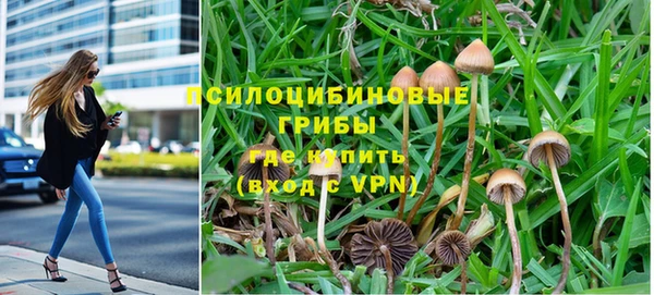 ALPHA PVP Богданович
