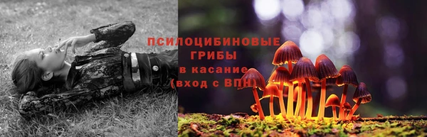 ALPHA PVP Богданович