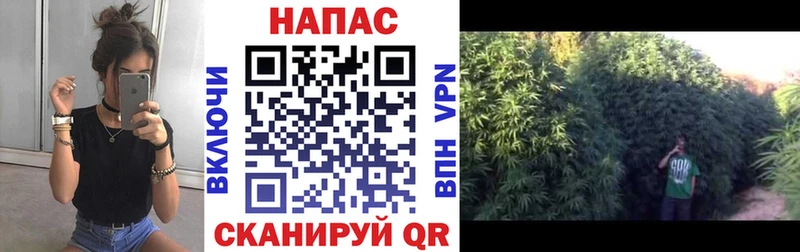 Шишки марихуана White Widow  Купить  Покачи 